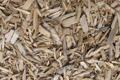 biomass boilers Bildeston